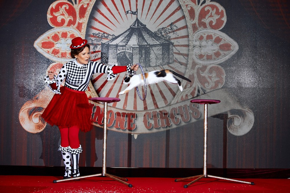 Фотосъёмка мероприятий. Репортажный фотограф в Минске Владимир Чурносов