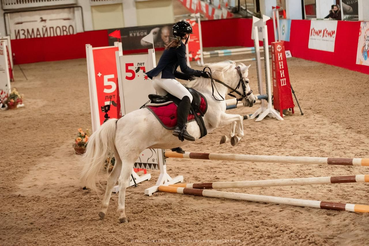 «КУБОК ИМЕНИННИКА» КСК «Измайлово». Конный фотограф Куракина Дарья • Фотосессии с лошадьми