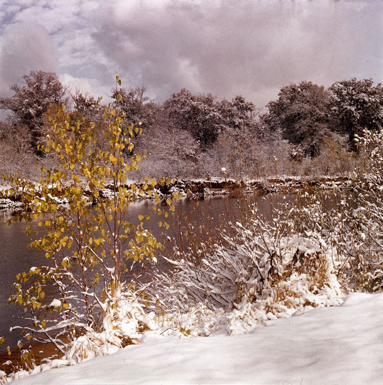 Осень. ВАДИМ ГИППЕНРЕЙТЕР — ВЕЛИКИЙ ФОТОГРАФ ЗЕМЛИ РУССКОЙ
