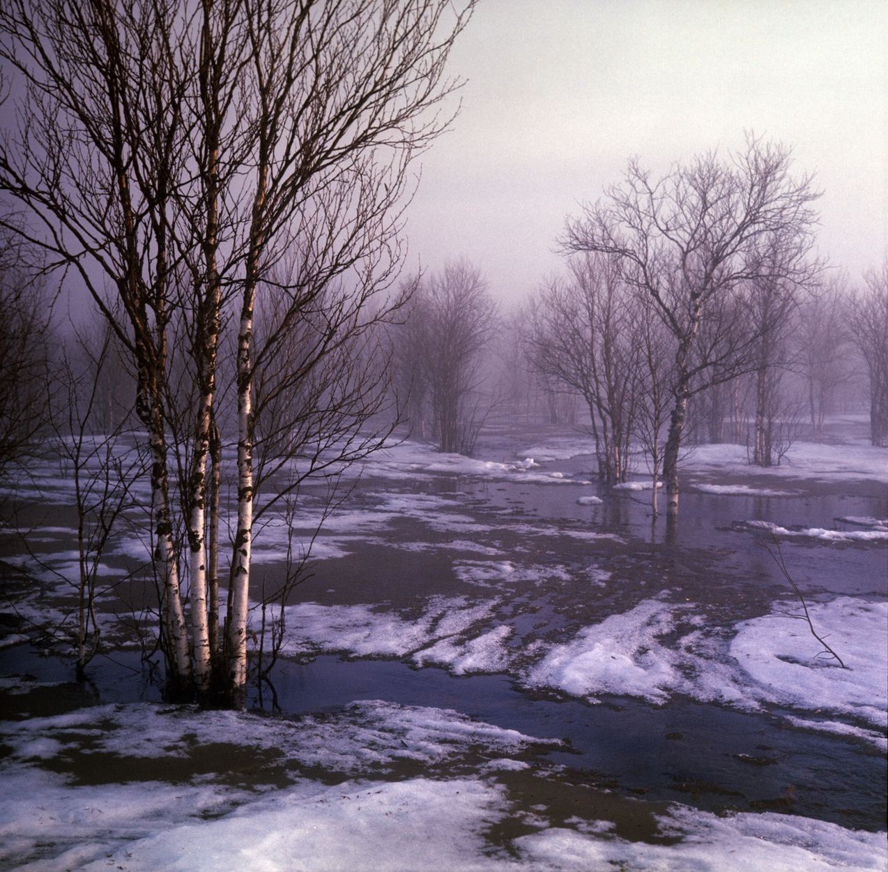 Весна. ВАДИМ ГИППЕНРЕЙТЕР — ВЕЛИКИЙ ФОТОГРАФ ЗЕМЛИ РУССКОЙ