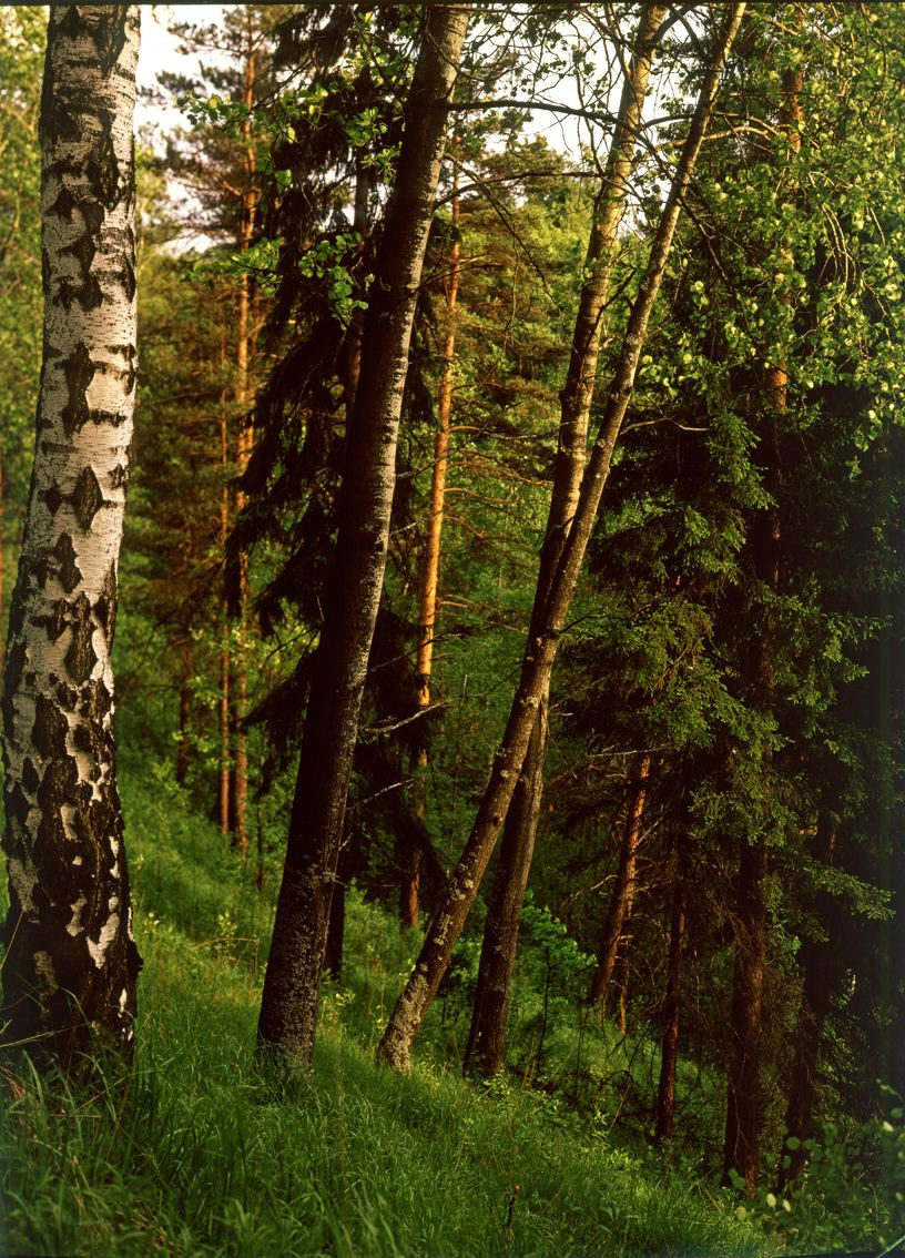 Лето. ВАДИМ ГИППЕНРЕЙТЕР — ВЕЛИКИЙ ФОТОГРАФ ЗЕМЛИ РУССКОЙ
