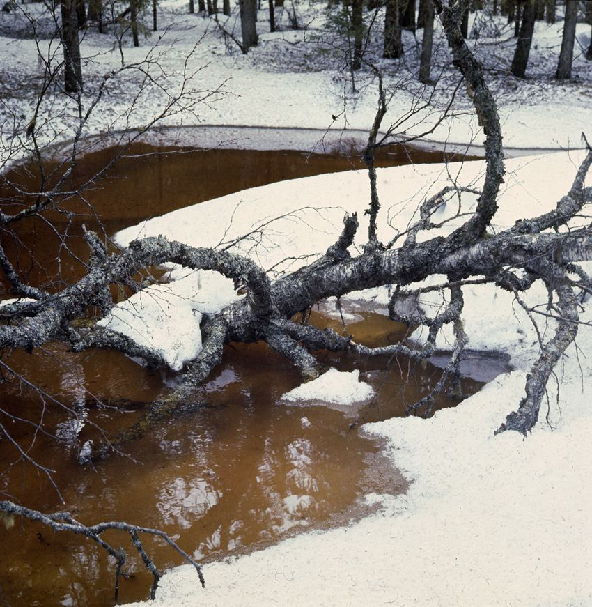 Зима. ВАДИМ ГИППЕНРЕЙТЕР — ВЕЛИКИЙ ФОТОГРАФ ЗЕМЛИ РУССКОЙ