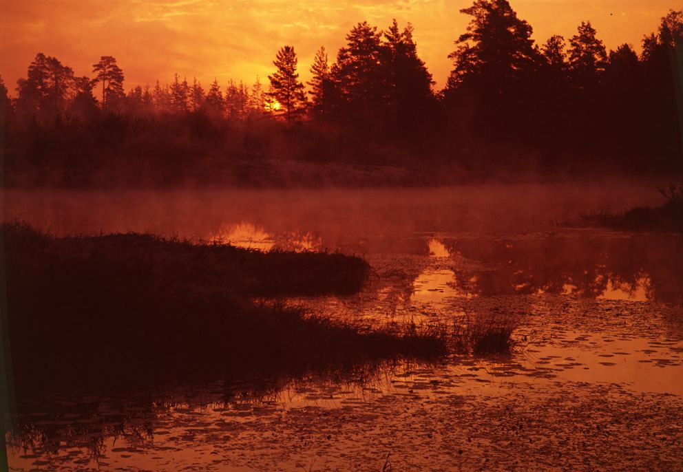 Осень. ВАДИМ ГИППЕНРЕЙТЕР — ВЕЛИКИЙ ФОТОГРАФ ЗЕМЛИ РУССКОЙ