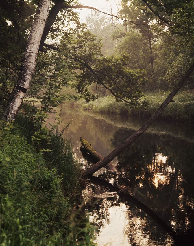 Лето. ВАДИМ ГИППЕНРЕЙТЕР — ВЕЛИКИЙ ФОТОГРАФ ЗЕМЛИ РУССКОЙ