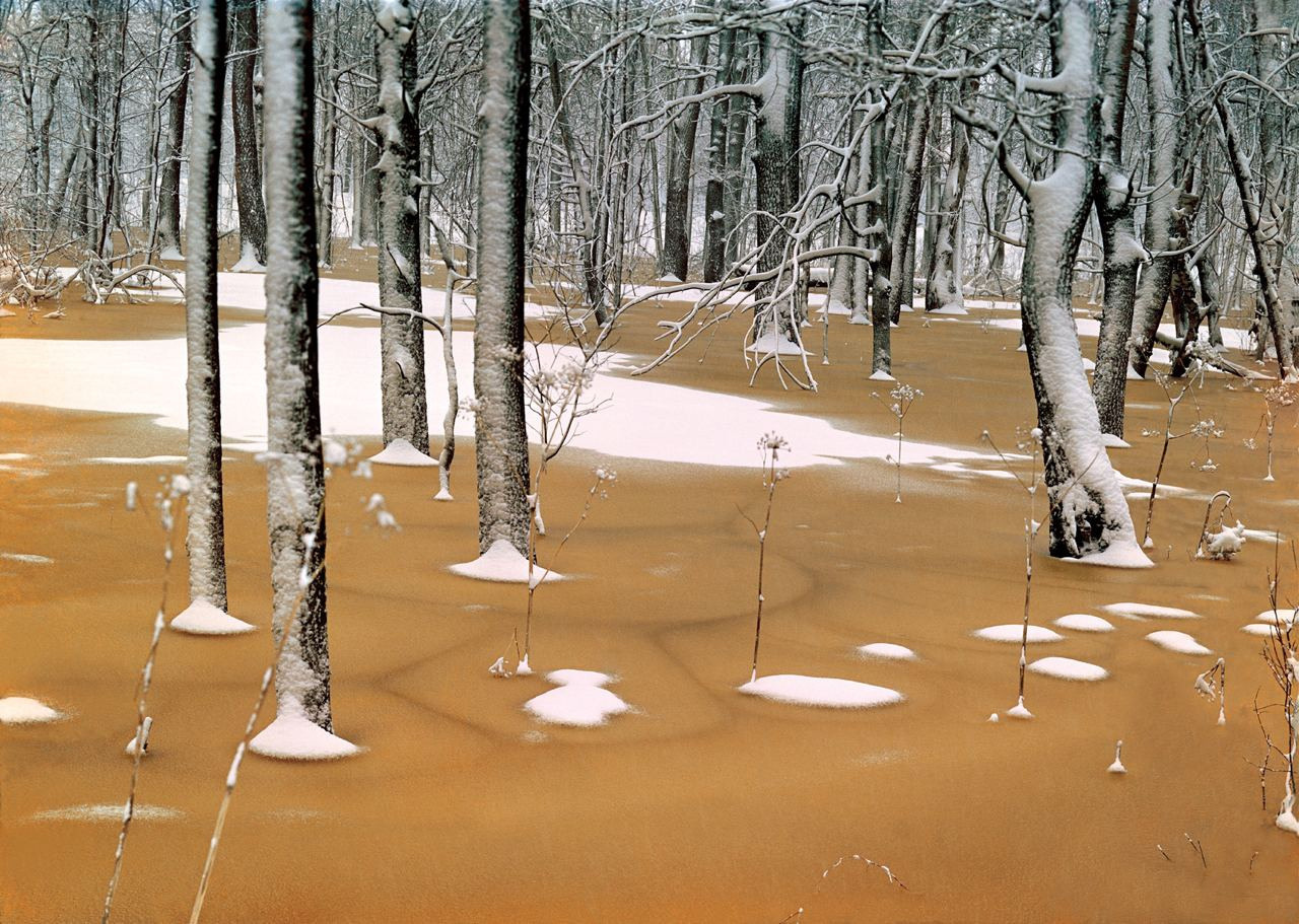Весна. ВАДИМ ГИППЕНРЕЙТЕР — ВЕЛИКИЙ ФОТОГРАФ ЗЕМЛИ РУССКОЙ