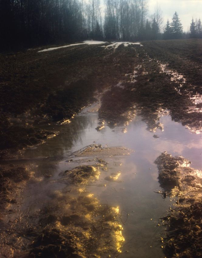 Весна. ВАДИМ ГИППЕНРЕЙТЕР — ВЕЛИКИЙ ФОТОГРАФ ЗЕМЛИ РУССКОЙ