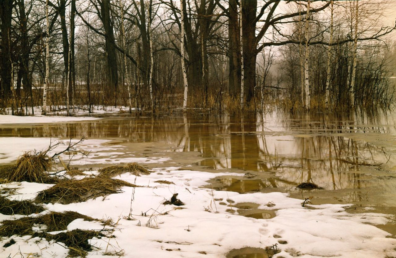 Весна. ВАДИМ ГИППЕНРЕЙТЕР — ВЕЛИКИЙ ФОТОГРАФ ЗЕМЛИ РУССКОЙ