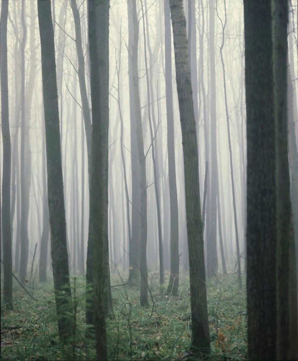 Осень. ВАДИМ ГИППЕНРЕЙТЕР — ВЕЛИКИЙ ФОТОГРАФ ЗЕМЛИ РУССКОЙ