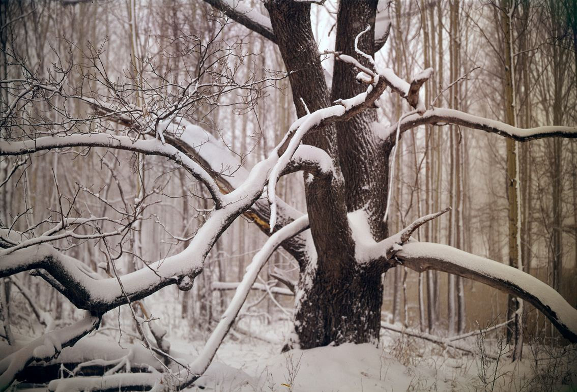 Зима. ВАДИМ ГИППЕНРЕЙТЕР — ВЕЛИКИЙ ФОТОГРАФ ЗЕМЛИ РУССКОЙ