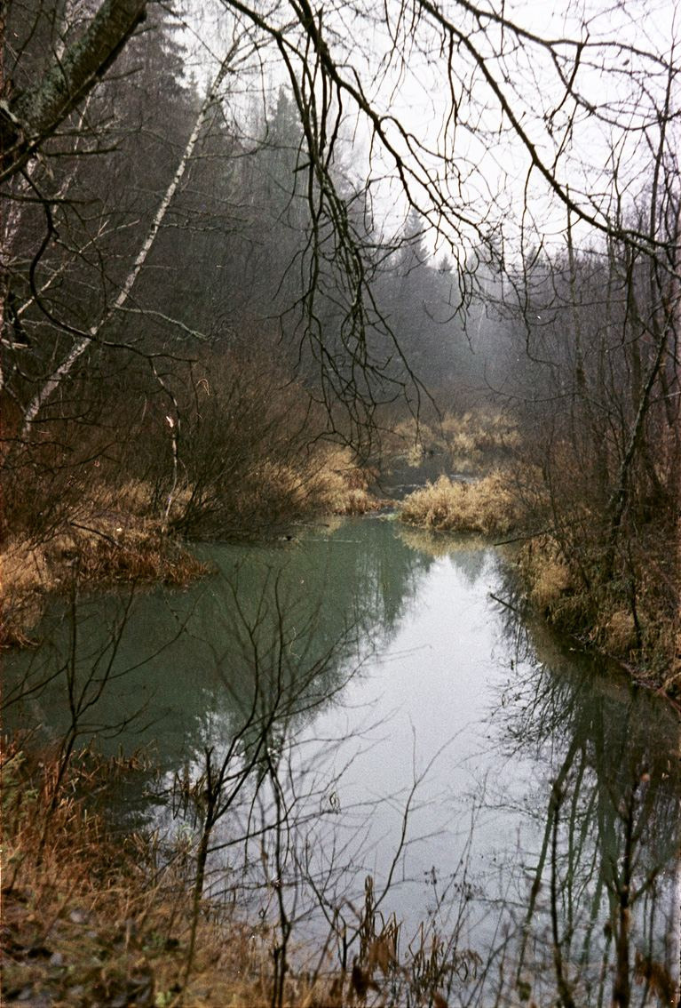 Осень. ВАДИМ ГИППЕНРЕЙТЕР — ВЕЛИКИЙ ФОТОГРАФ ЗЕМЛИ РУССКОЙ