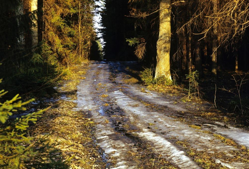 Весна. ВАДИМ ГИППЕНРЕЙТЕР — ВЕЛИКИЙ ФОТОГРАФ ЗЕМЛИ РУССКОЙ