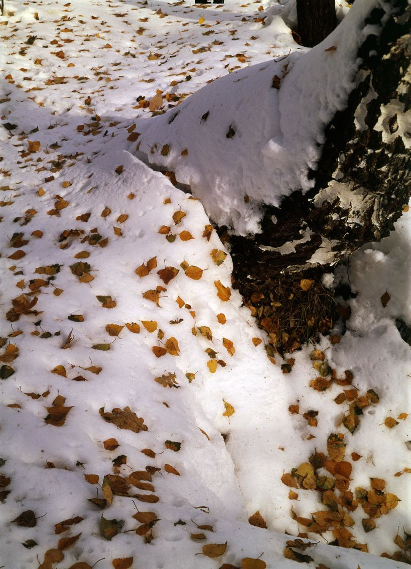 Осень. ВАДИМ ГИППЕНРЕЙТЕР — ВЕЛИКИЙ ФОТОГРАФ ЗЕМЛИ РУССКОЙ