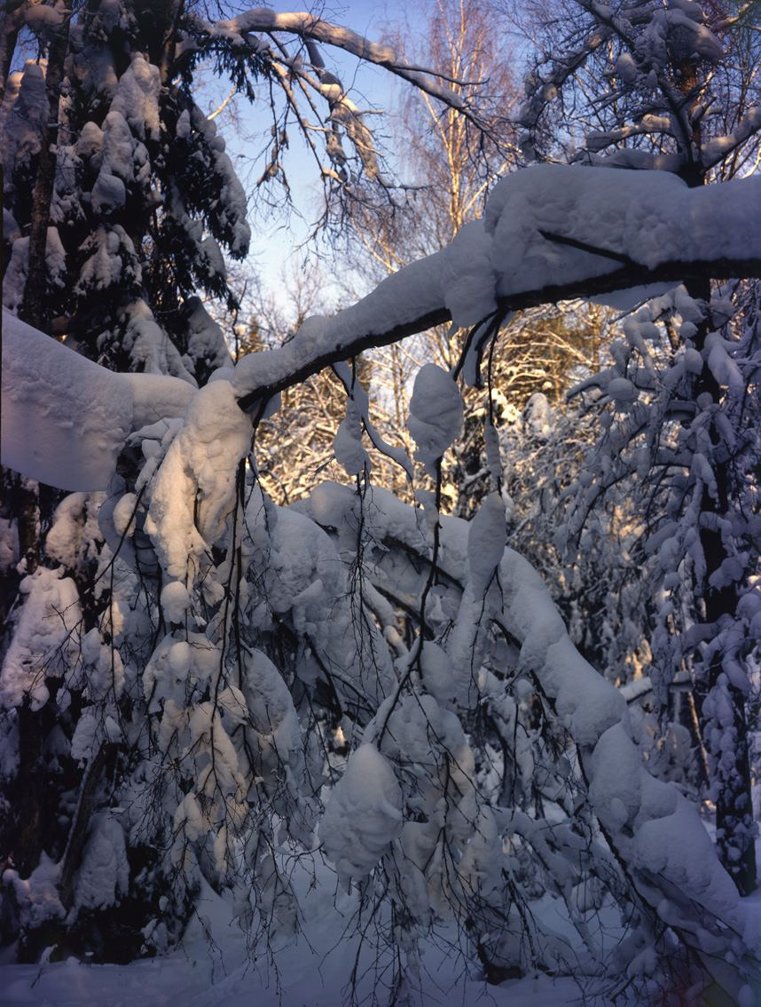 Зима. ВАДИМ ГИППЕНРЕЙТЕР — ВЕЛИКИЙ ФОТОГРАФ ЗЕМЛИ РУССКОЙ