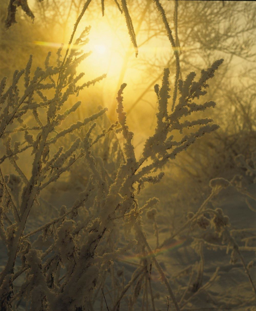 Зима. ВАДИМ ГИППЕНРЕЙТЕР — ВЕЛИКИЙ ФОТОГРАФ ЗЕМЛИ РУССКОЙ