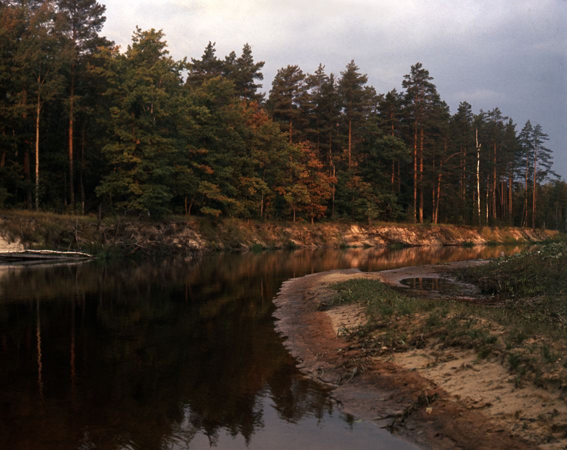 Осень. ВАДИМ ГИППЕНРЕЙТЕР — ВЕЛИКИЙ ФОТОГРАФ ЗЕМЛИ РУССКОЙ