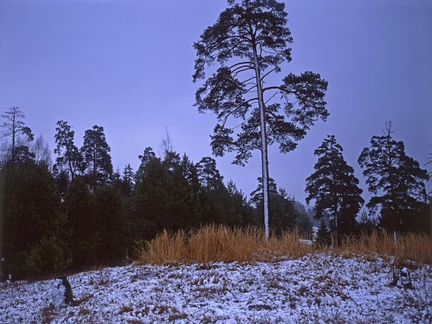 Осень. ВАДИМ ГИППЕНРЕЙТЕР — ВЕЛИКИЙ ФОТОГРАФ ЗЕМЛИ РУССКОЙ