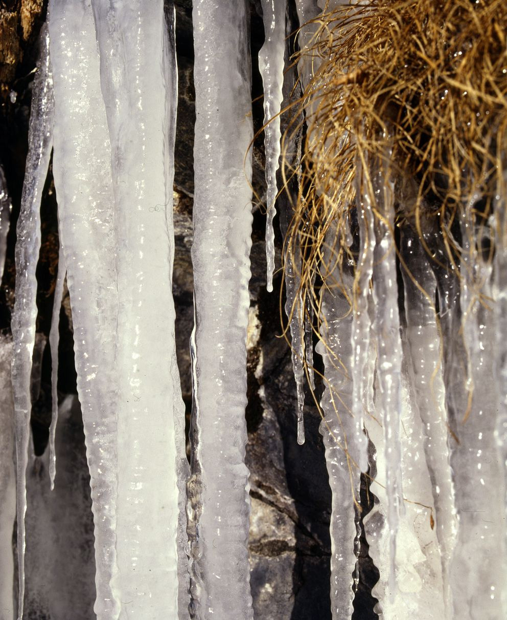 Весна. ВАДИМ ГИППЕНРЕЙТЕР — ВЕЛИКИЙ ФОТОГРАФ ЗЕМЛИ РУССКОЙ