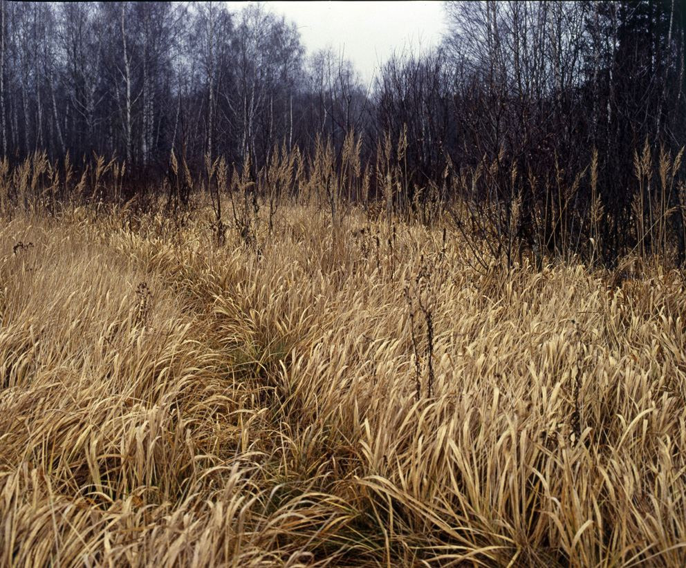 Осень. ВАДИМ ГИППЕНРЕЙТЕР — ВЕЛИКИЙ ФОТОГРАФ ЗЕМЛИ РУССКОЙ
