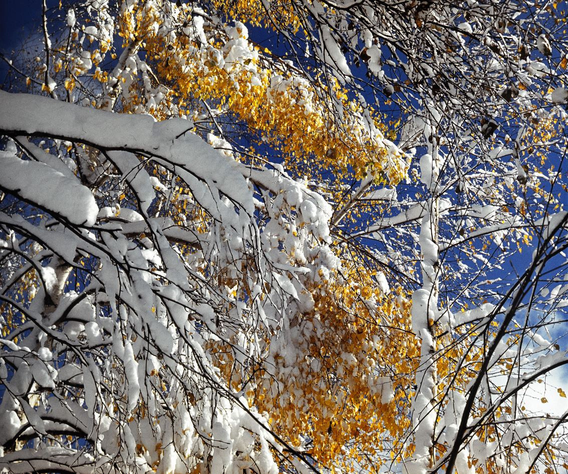 Осень. ВАДИМ ГИППЕНРЕЙТЕР — ВЕЛИКИЙ ФОТОГРАФ ЗЕМЛИ РУССКОЙ