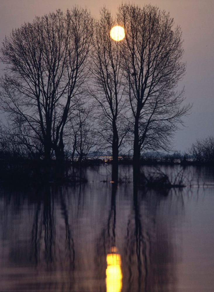Весна. ВАДИМ ГИППЕНРЕЙТЕР — ВЕЛИКИЙ ФОТОГРАФ ЗЕМЛИ РУССКОЙ