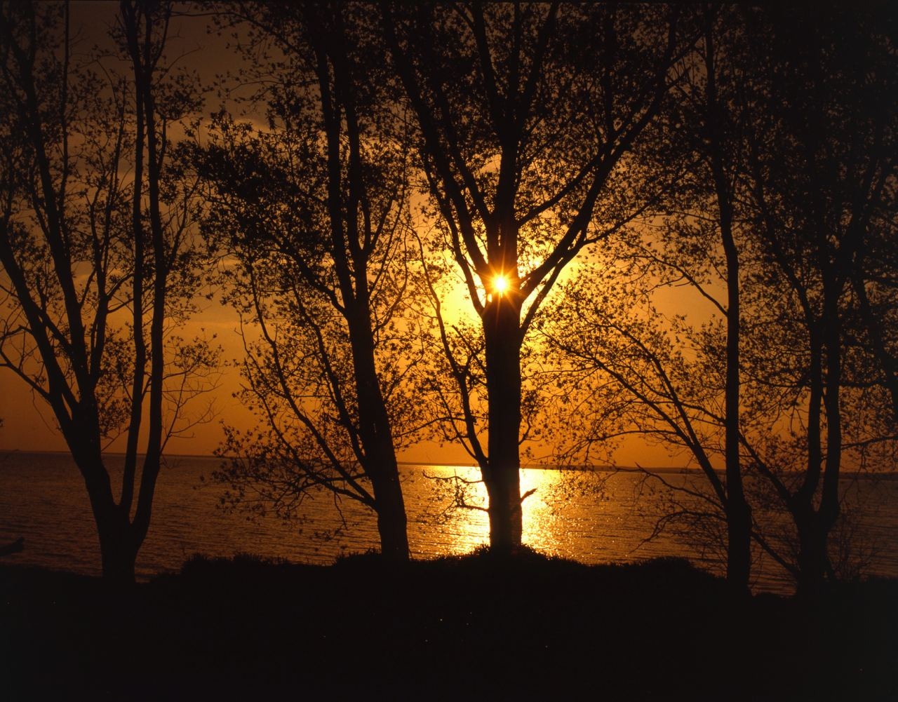 Лето. ВАДИМ ГИППЕНРЕЙТЕР — ВЕЛИКИЙ ФОТОГРАФ ЗЕМЛИ РУССКОЙ