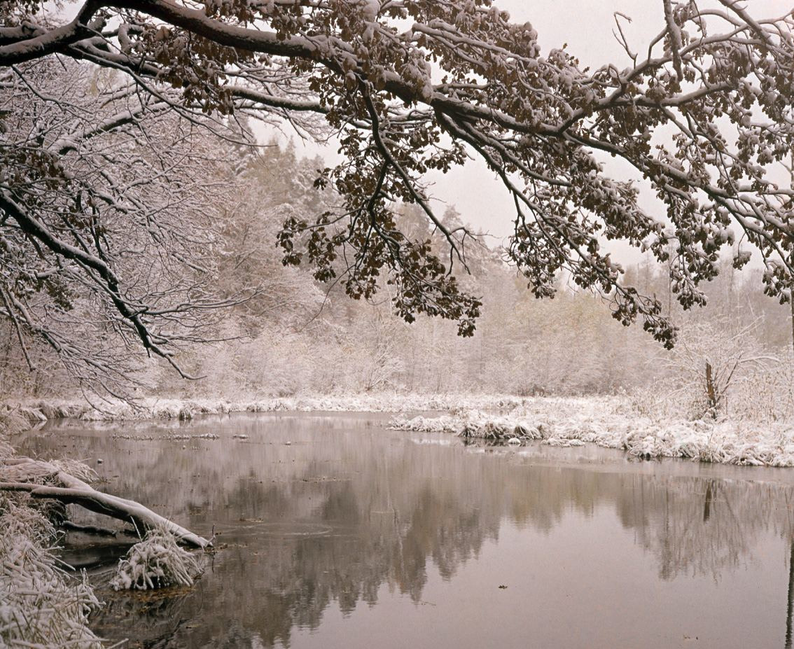 Осень. ВАДИМ ГИППЕНРЕЙТЕР — ВЕЛИКИЙ ФОТОГРАФ ЗЕМЛИ РУССКОЙ