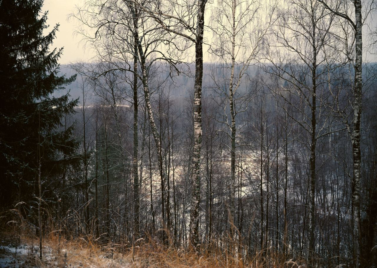 Осень. ВАДИМ ГИППЕНРЕЙТЕР — ВЕЛИКИЙ ФОТОГРАФ ЗЕМЛИ РУССКОЙ