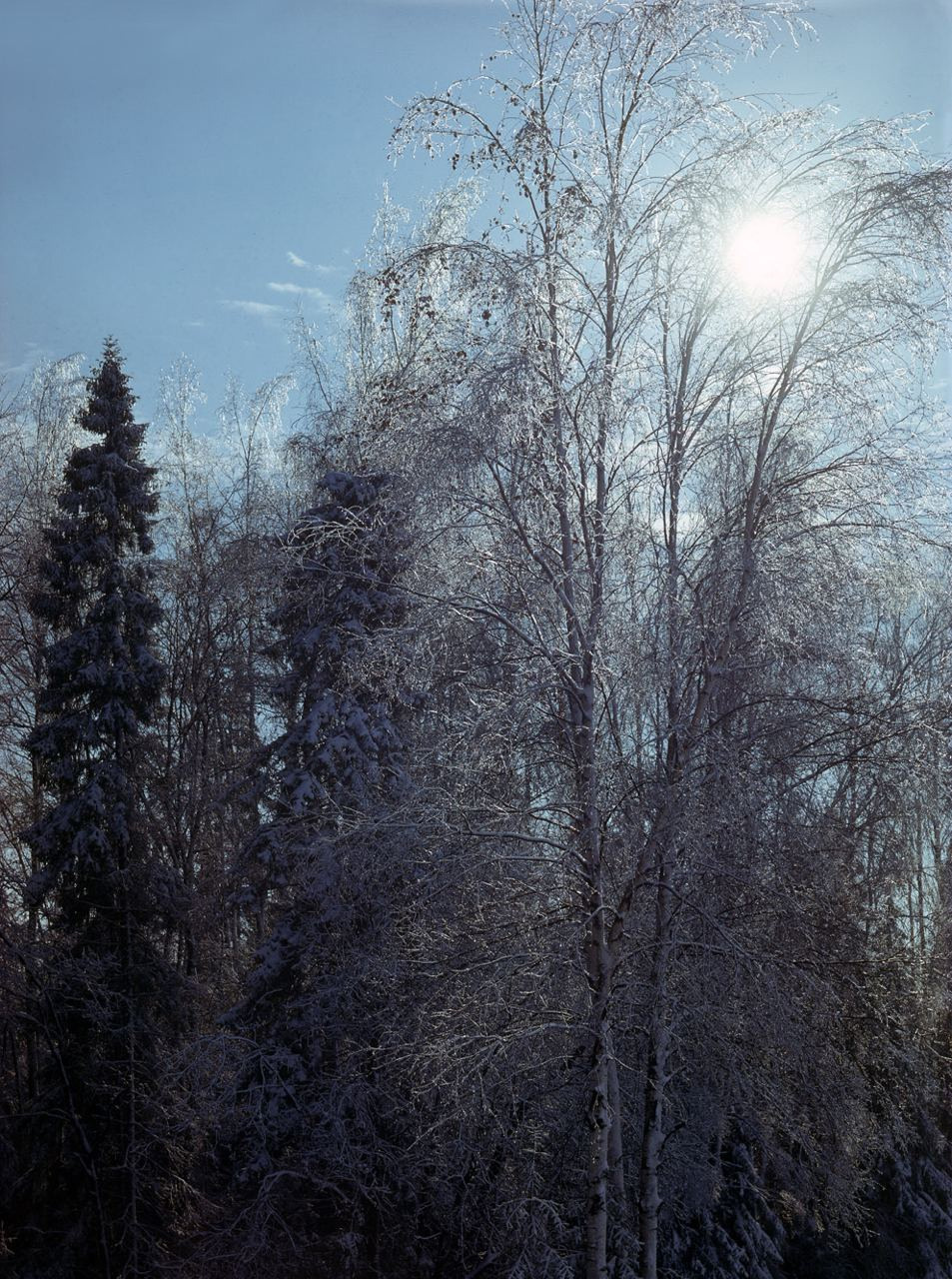 Осень. ВАДИМ ГИППЕНРЕЙТЕР — ВЕЛИКИЙ ФОТОГРАФ ЗЕМЛИ РУССКОЙ