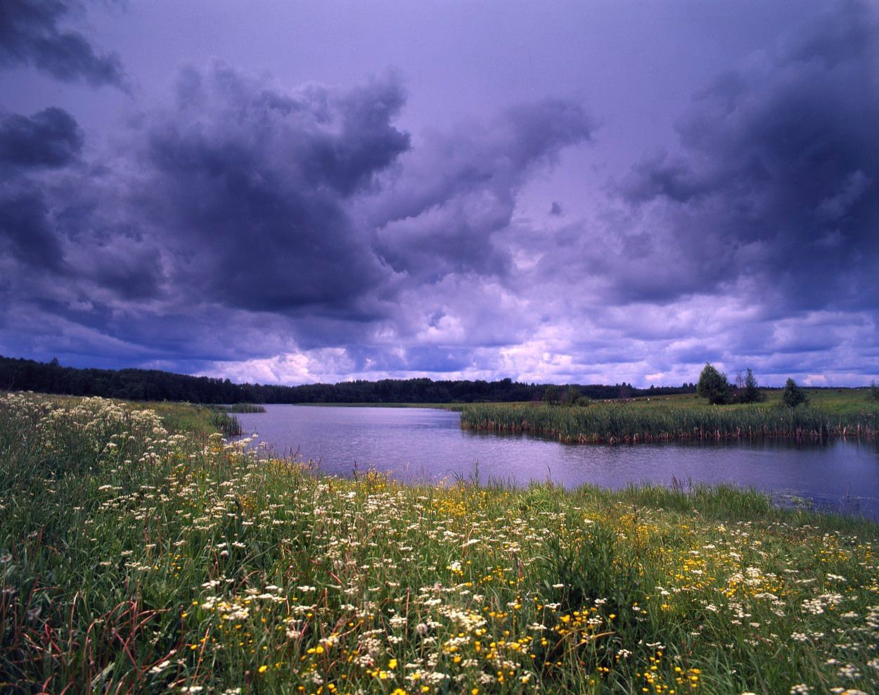 Лето. ВАДИМ ГИППЕНРЕЙТЕР — ВЕЛИКИЙ ФОТОГРАФ ЗЕМЛИ РУССКОЙ