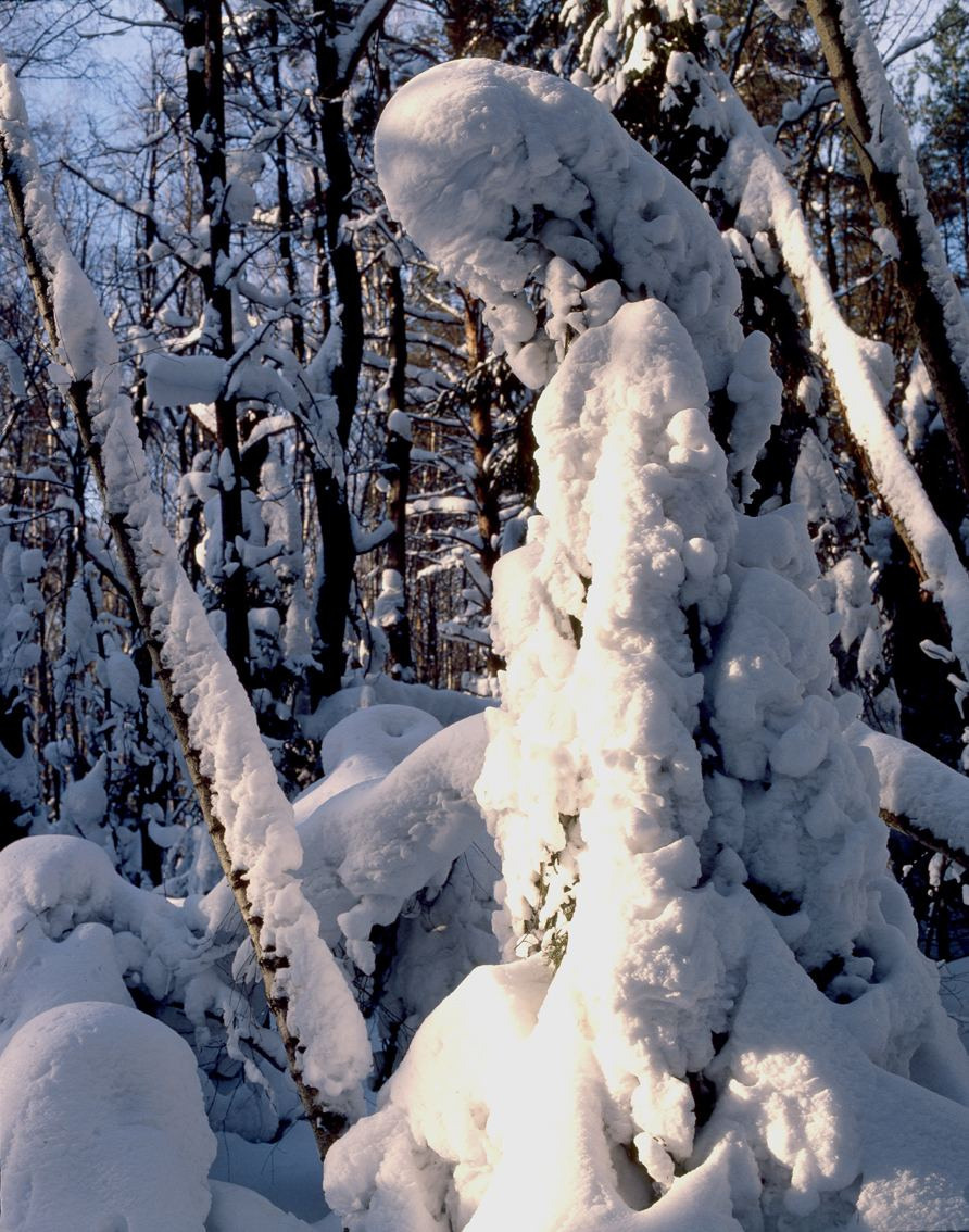 Зима. ВАДИМ ГИППЕНРЕЙТЕР — ВЕЛИКИЙ ФОТОГРАФ ЗЕМЛИ РУССКОЙ