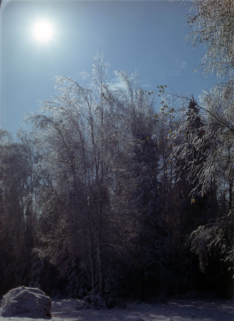 Зима. ВАДИМ ГИППЕНРЕЙТЕР — ВЕЛИКИЙ ФОТОГРАФ ЗЕМЛИ РУССКОЙ