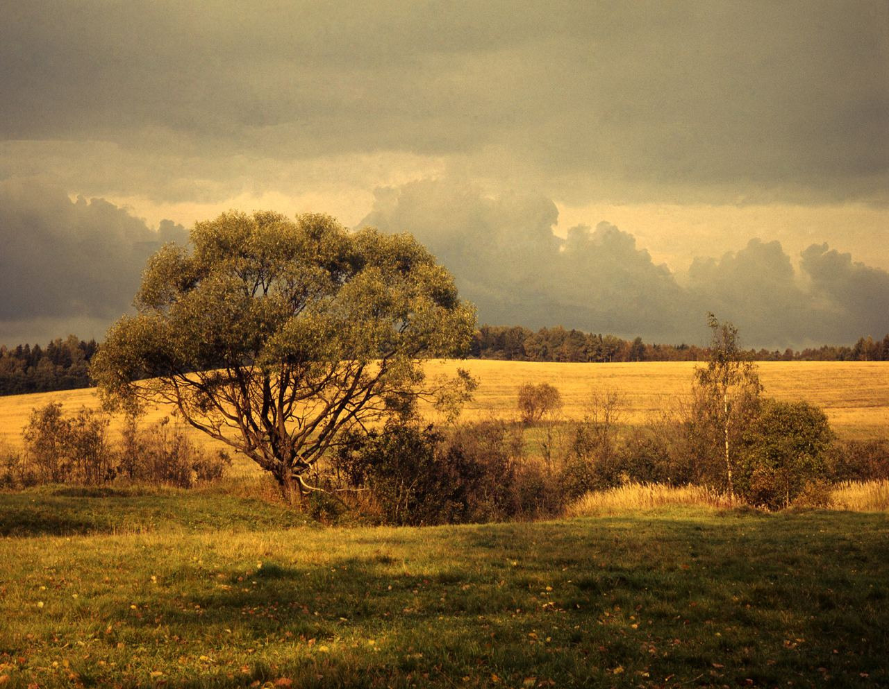 Осень. ВАДИМ ГИППЕНРЕЙТЕР — ВЕЛИКИЙ ФОТОГРАФ ЗЕМЛИ РУССКОЙ