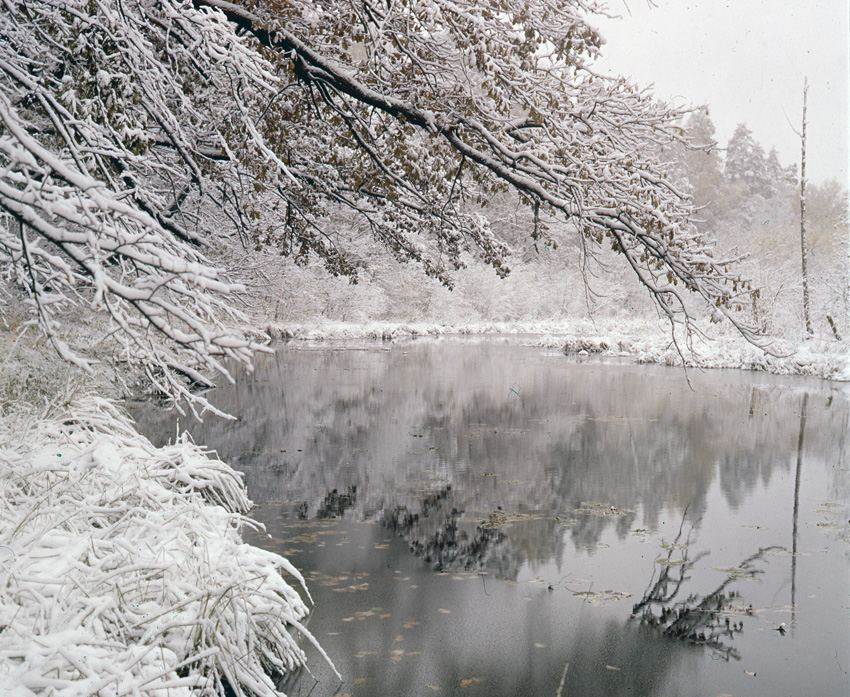 Осень. ВАДИМ ГИППЕНРЕЙТЕР — ВЕЛИКИЙ ФОТОГРАФ ЗЕМЛИ РУССКОЙ