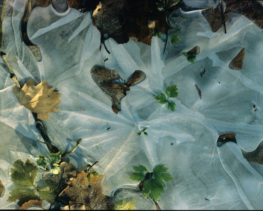 Осень. ВАДИМ ГИППЕНРЕЙТЕР — ВЕЛИКИЙ ФОТОГРАФ ЗЕМЛИ РУССКОЙ