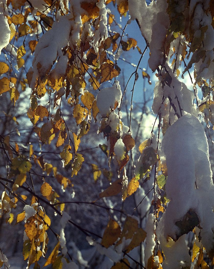 Осень. ВАДИМ ГИППЕНРЕЙТЕР — ВЕЛИКИЙ ФОТОГРАФ ЗЕМЛИ РУССКОЙ