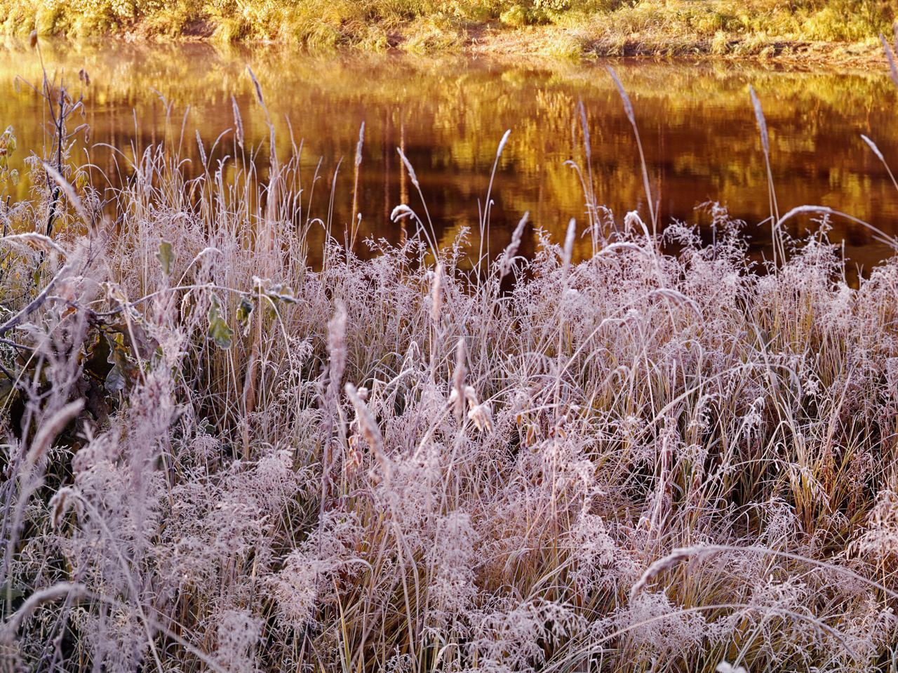 Осень. ВАДИМ ГИППЕНРЕЙТЕР — ВЕЛИКИЙ ФОТОГРАФ ЗЕМЛИ РУССКОЙ