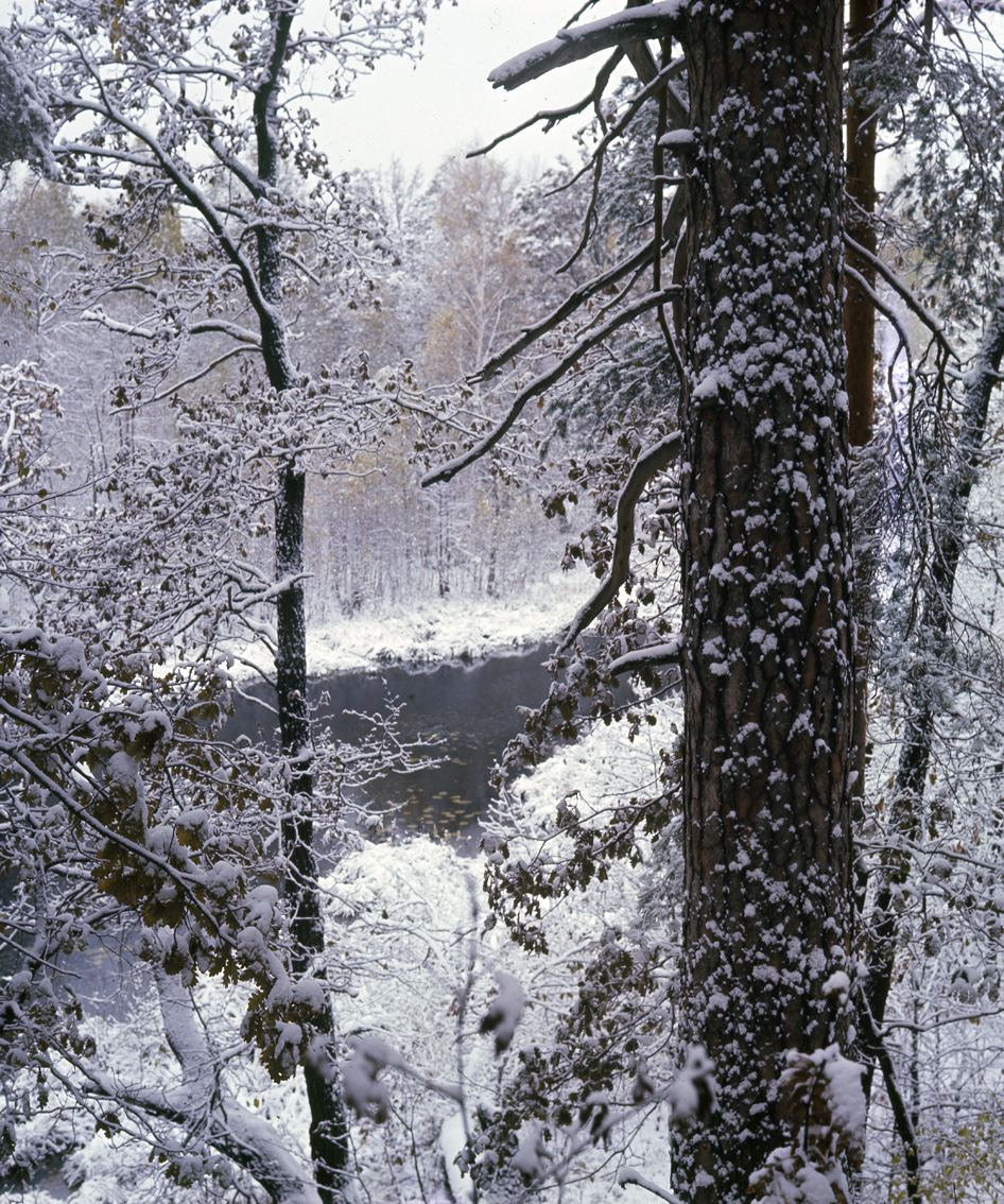 Осень. ВАДИМ ГИППЕНРЕЙТЕР — ВЕЛИКИЙ ФОТОГРАФ ЗЕМЛИ РУССКОЙ