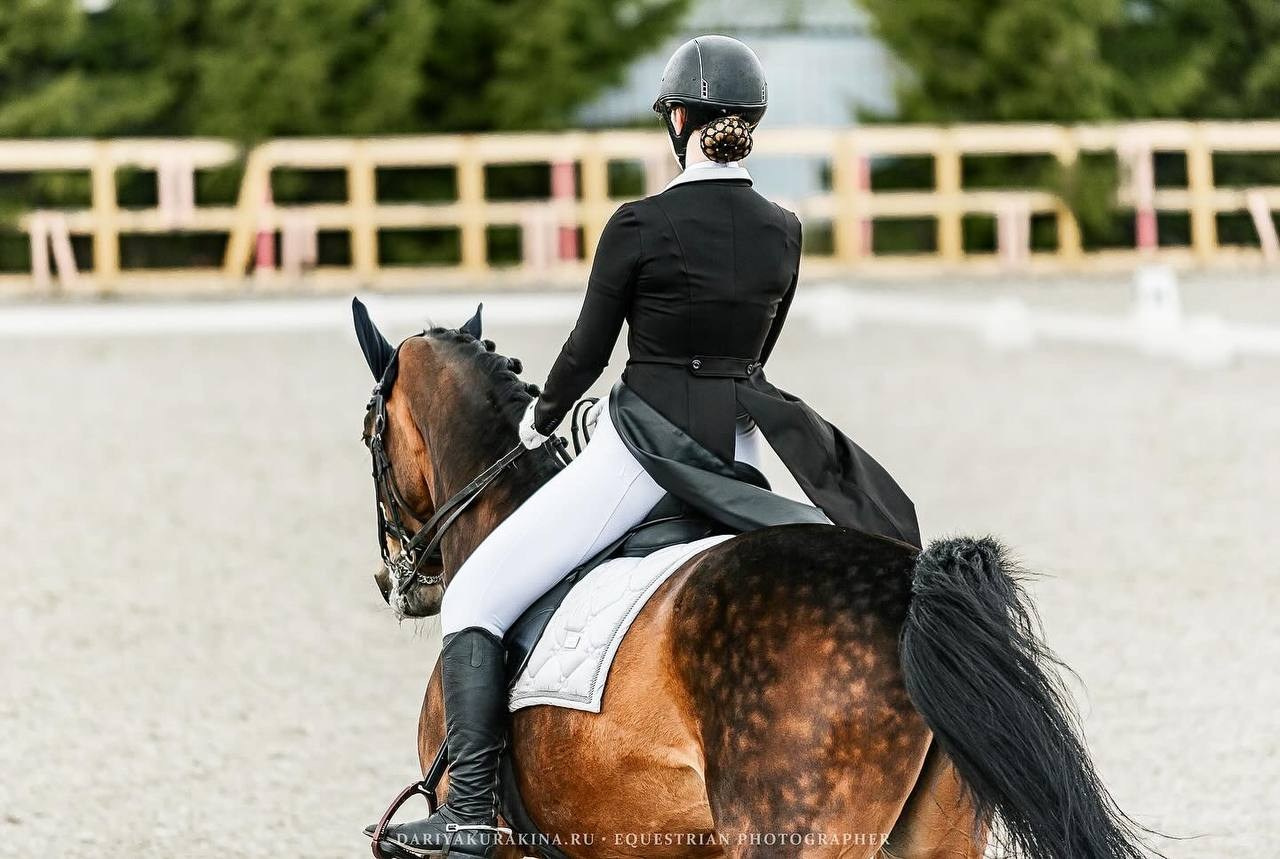 Кубок Московской области по выездке, КСК «Эквиторус». Конный фотограф Куракина Дарья • Фотосессии с лошадьми