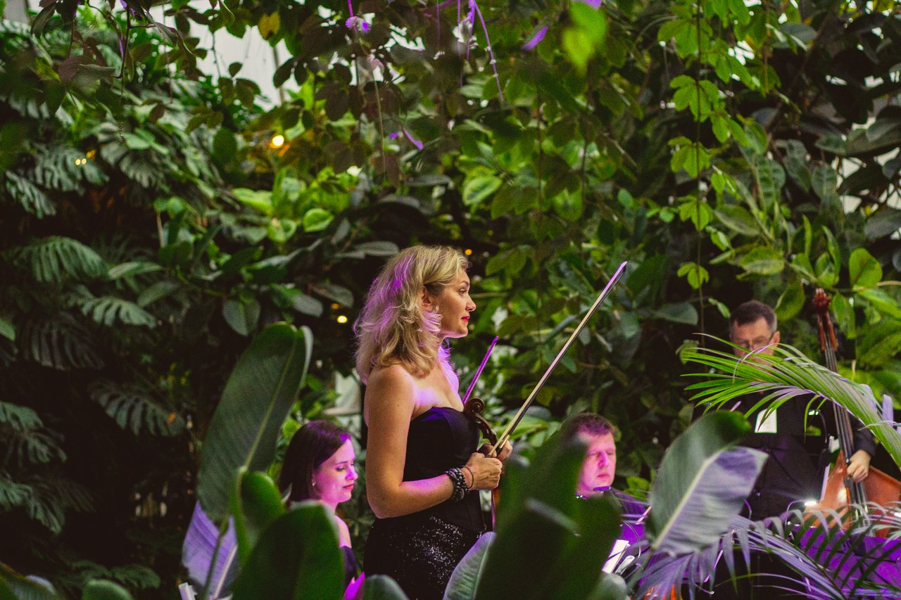 Petro Art — квартет в Таврическом саду (Рок Хиты). EvgenyCraft