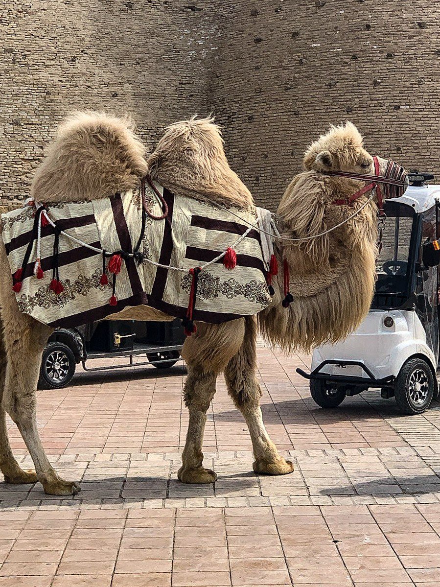 Авторские туры по России и миру — уникальные впечатления гарантированы. Фотограф в Перми Любовь Огородова | Авторские туры