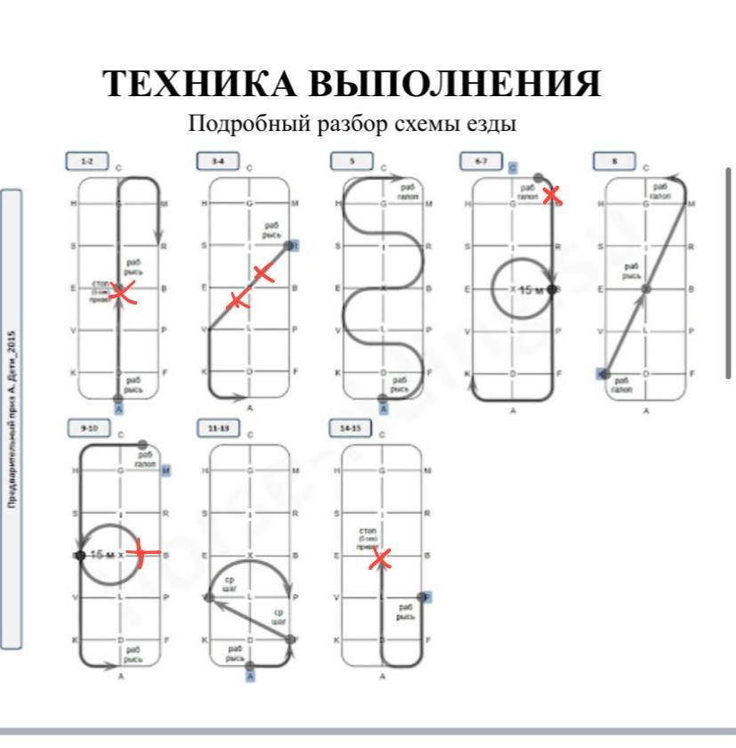 Соревнования по конному спорту в КСК «АЛЛЮР»!. Добро пожаловать в студию «Цифровой скульптор»  где искусство встречается с технологиями!