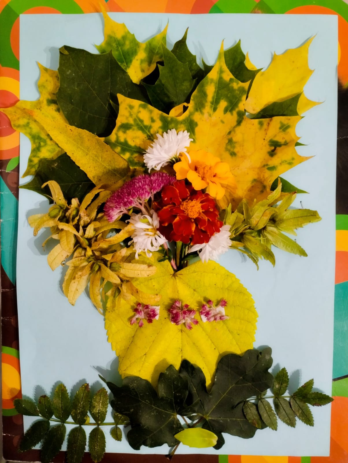 Стрелкова Надежда. АНО «Центра социальных проектов «Путь в большой мир»