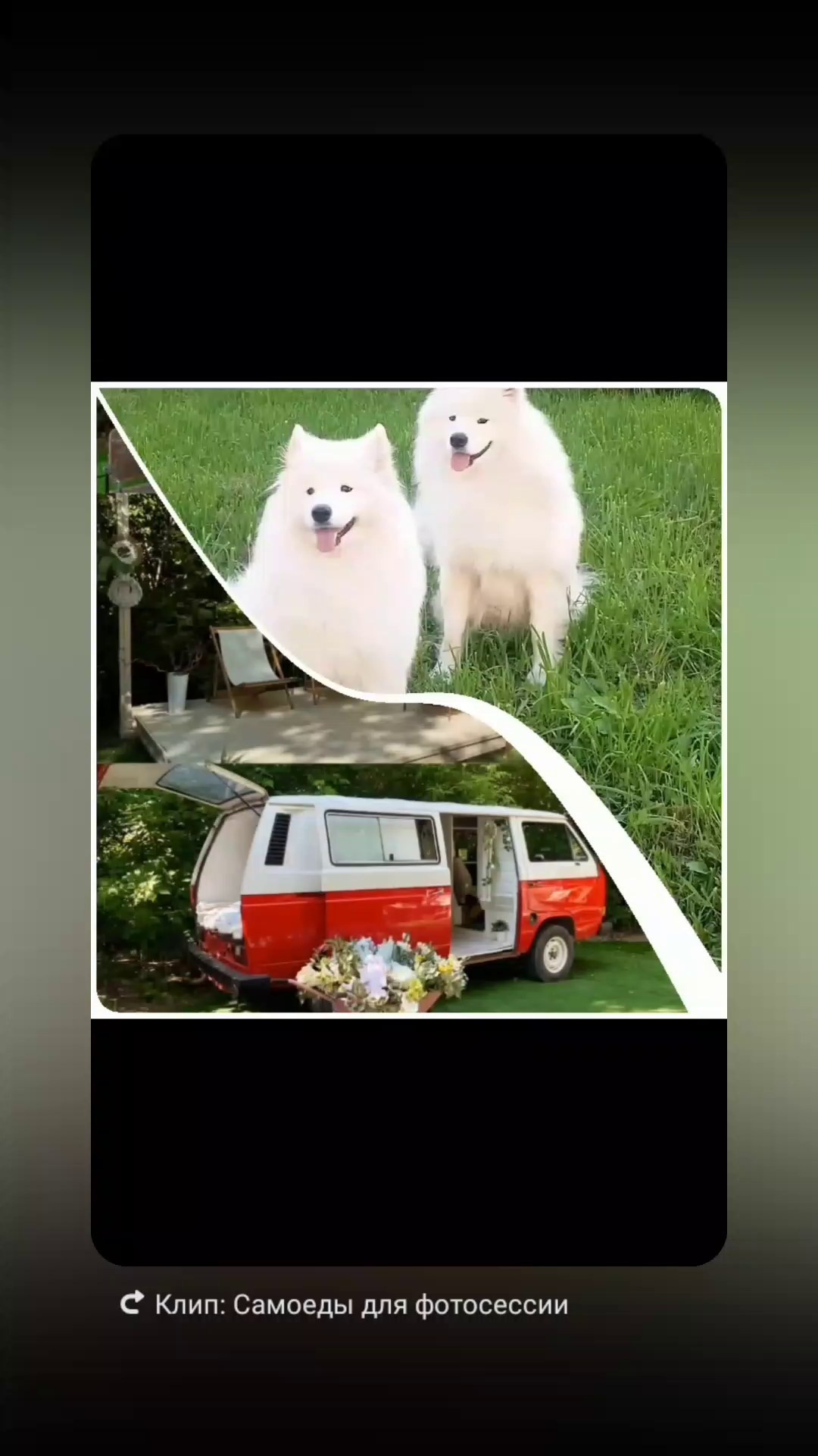 Main street. Самоед Новосибирск