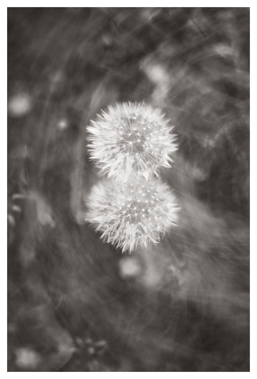 Облачный поток. Мастерская Демченко