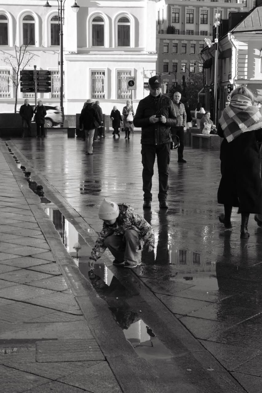 Автор: Дарья Пронина