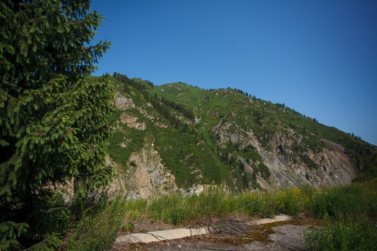 Отзывы. Экскурсии и туры по Алматы