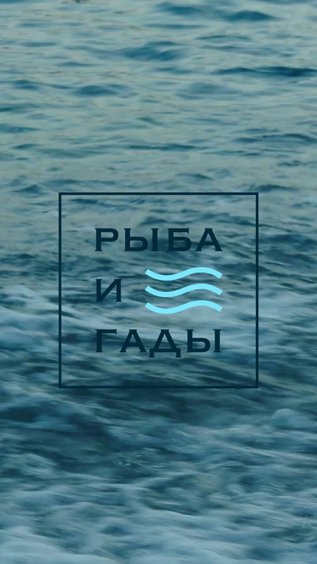 Видео. Фуд фотограф в Санкт-Петербурге Денис Руднев