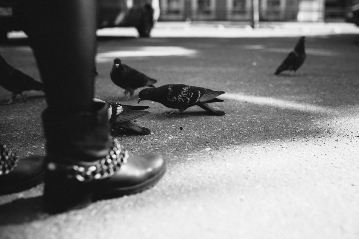 Love  Story. Свадебный фотограф Ярославль, Рыбинск