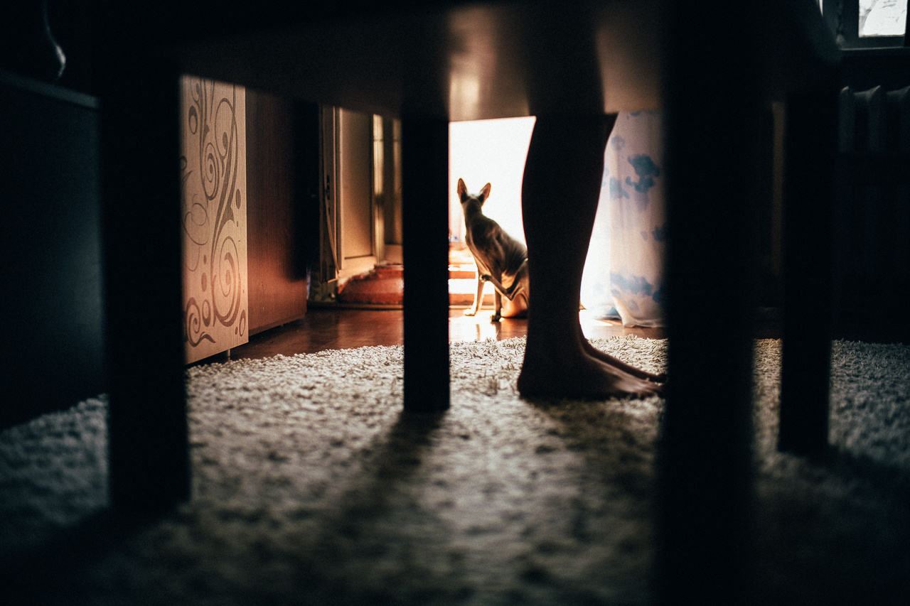 Love  Story. Свадебный фотограф Ярославль, Рыбинск