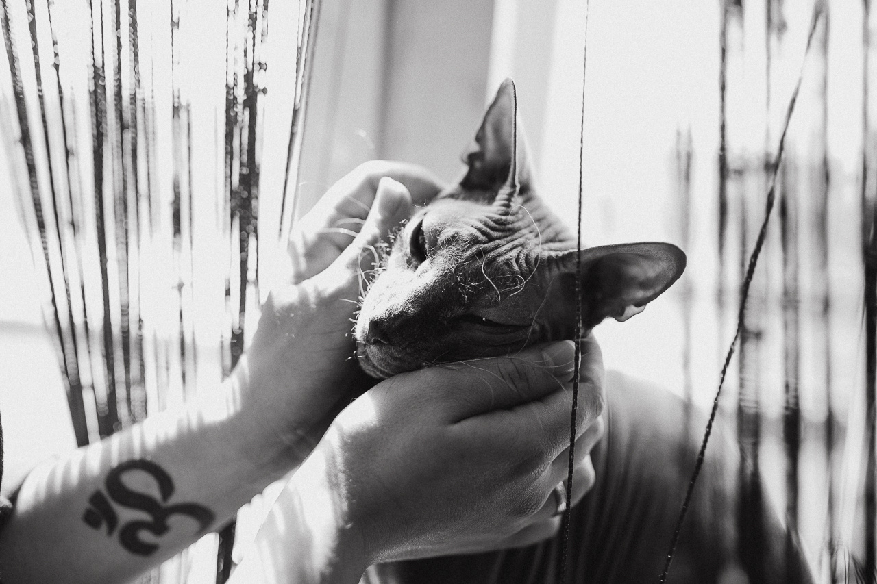 Love  Story. Свадебный фотограф Ярославль, Рыбинск